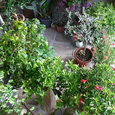 Au Palton 3* Raon-aux-Bois