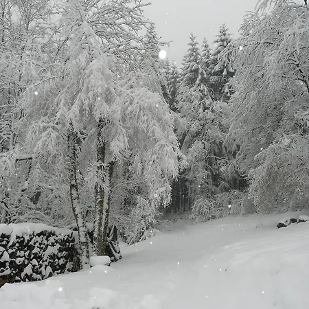 Au Palton ベッド・アンド・ブレックファスト Raon-aux-Bois