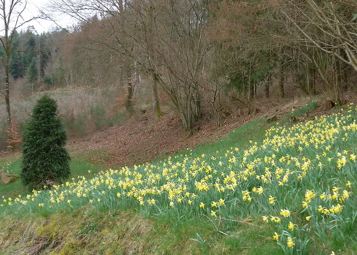 Au Palton לינה וארוחת בוקר