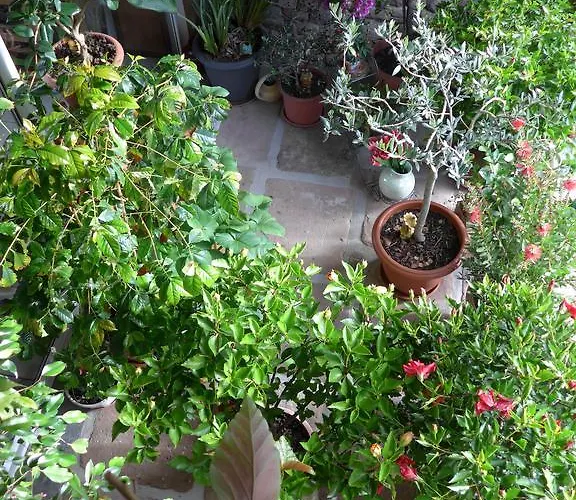 Au Palton 3* Raon-aux-Bois