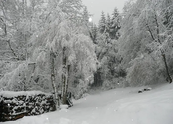 Au Palton לינה וארוחת בוקר Raon-aux-Bois